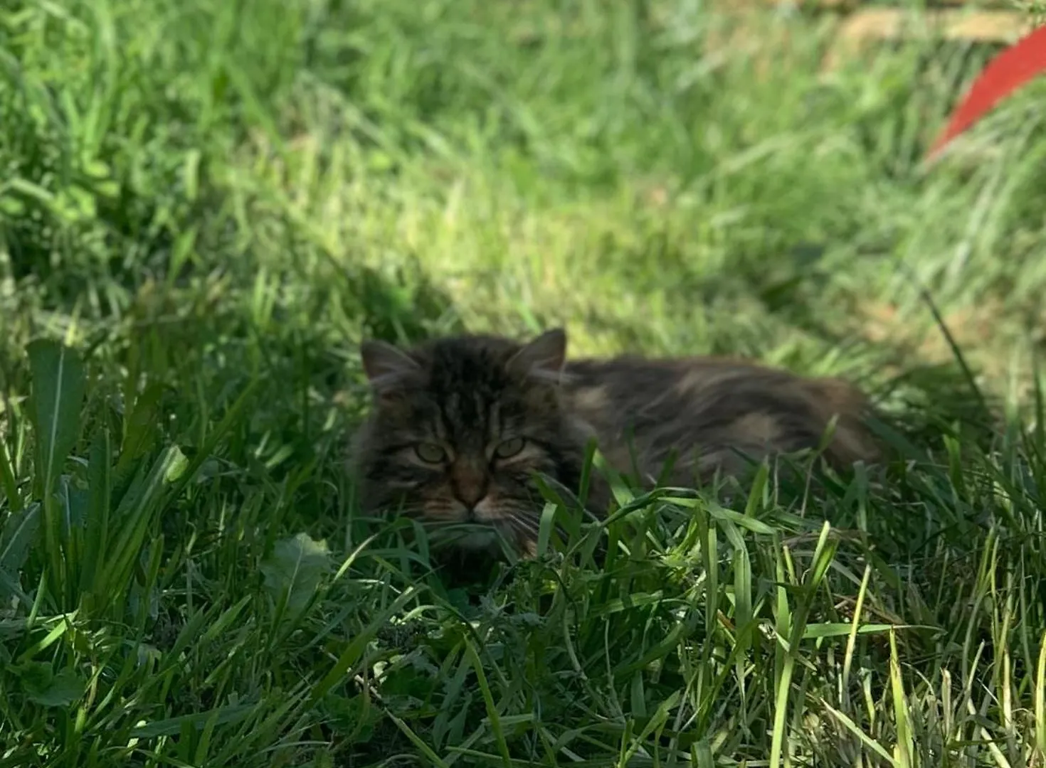 Maison Insolite De Mi-Montagne Pebrac Francie