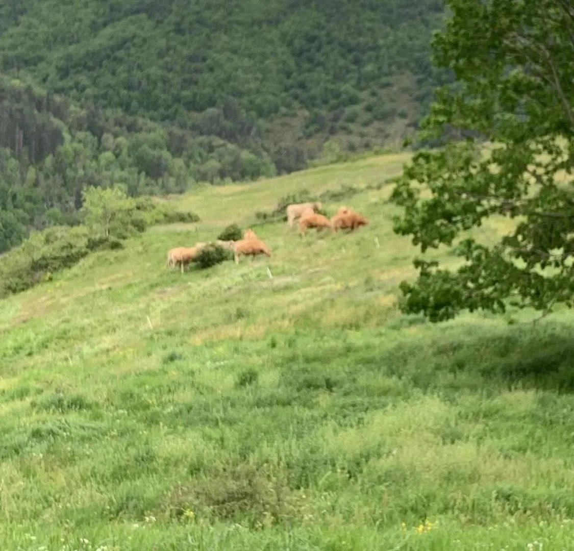 Maison Insolite De Mi-Montagne Pebrac 0*,  France